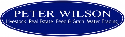 Peter Wilson Livestock and Real Estate